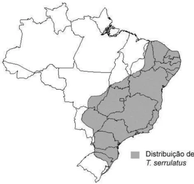 Figura 4: Distribuição geográfica de T. serrulatus no território brasileiro. 