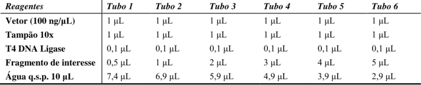 Tabela 4: Reação de ligação de DNA aos vetores de expressão 