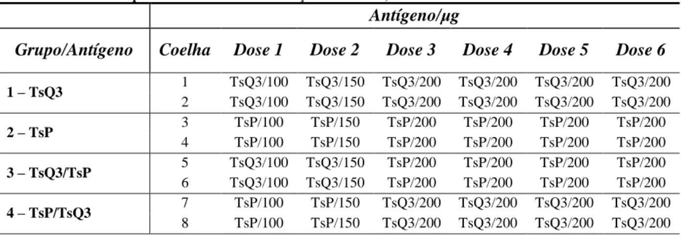 Tabela 5: Esquema de um ciclo de imunização das coelhas, com intervalos de 15 dias entre as doses  Antígeno/ μg 