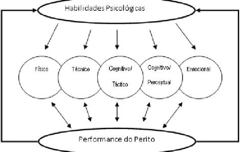 Figura 2. Domínios da Expertise. Janelle e Hillman, 2003. 