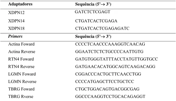 Tabela 1. Primers específicos utilizados no seqüenciamento e nas reações de RT-PCR. 