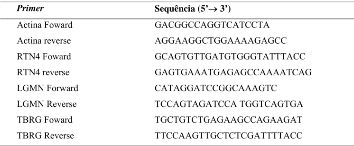 Tabela 2. Primers específicos utilizados nas reações de Real-Time PCR. 