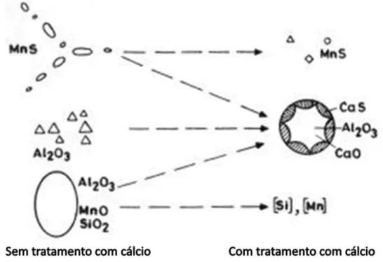 Figura 3.10 - Representação esquemática da modificação das inclusões pelo tratamento  com cálcio