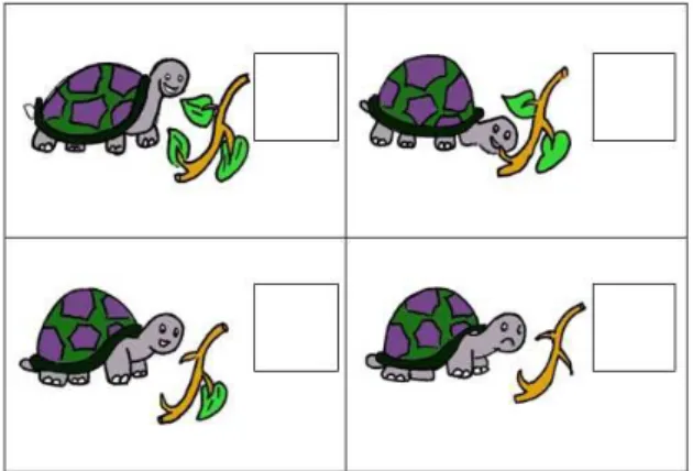 Figura 12: Tartaruga que come tudo.