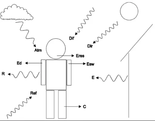 FIGURA 2 – Componentes do balanço energético humano. Fonte: JENDRITZKY et al., 1990, apud BECKER et 