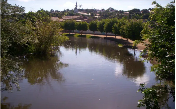 Foto n.º 2 - Vista do rio Mosquito – Águas Vermelhas-MG, fevereiro de 2006. (Acervo particular) 