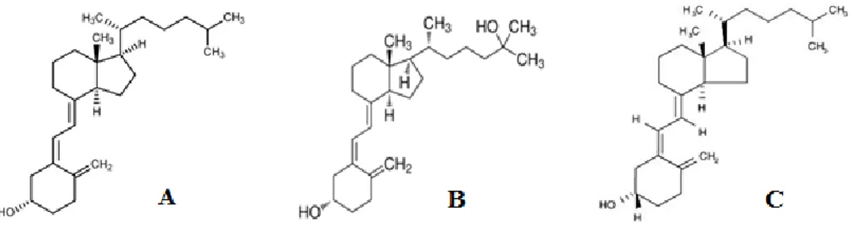 Figure 2 – Chemical structure of; A) cholecalciferol; B) calcifediol; C) calcitriol (University of Bristol, 2007).