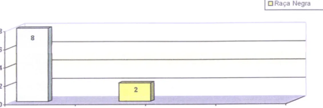 Gráfico  no  10  -  Distribuição  dos  entrevistados  por  estado  civil.