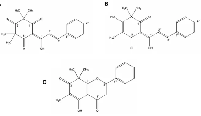 Figura 3: Fórmula estrutural das champanonas A, B e C, isoladas de C. lineatifolia.   Fonte: Bonilla et al