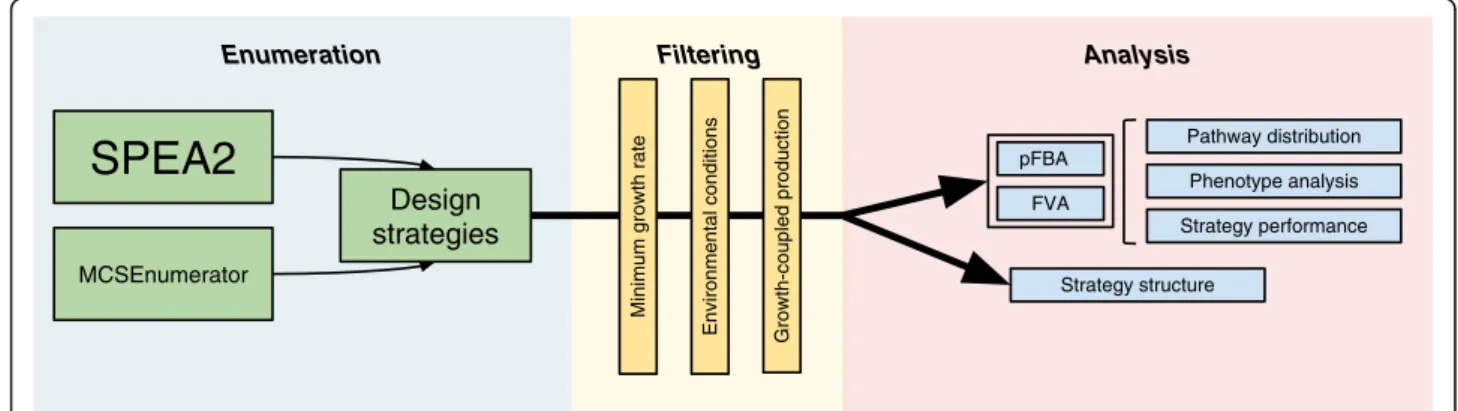 Fig. 1 Brief overview of the pipeline employed in this work. Optimization is performed using two strain design algorithms that produce reaction deletion strategies
