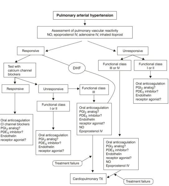 Figure 2 - Flow diagram of current treatment for pulmonary hypertension