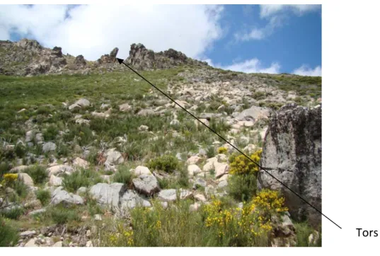 Fig. 5. Tors. Serra da Estrela 