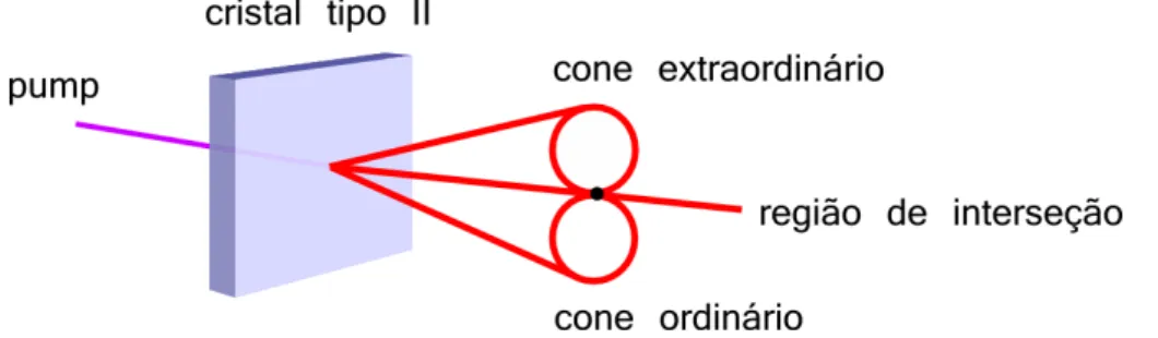 Figura 3.1: Esquema da gera¸c˜ao colinear na convers˜ao param´etrica do tipo II. Os dois cones correspondem aos f´otons com polariza¸c˜oes extraordin´aria e ordin´aria
