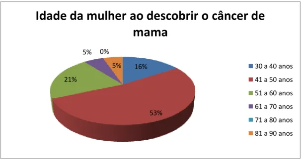 Figura 3  – Perfil das entrevistadas – Idade   16% 53%21%5%0%5%