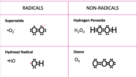 Figure 1.5: Radicals and non-radicals from reactive oxygen species.