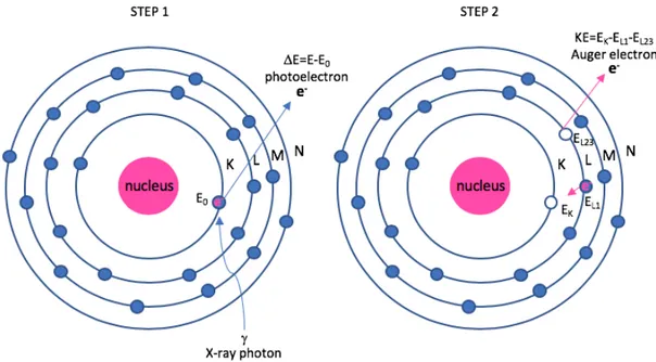 Figure 1.10: Photoelectron and Auger electron schematic in an atom. Step 1: emission of a photoelectron with a  kinetic energy (DE) equal to the difference in energy between the incoming photon (E) and the binding energy of  the  electron  in  the  K-shell
