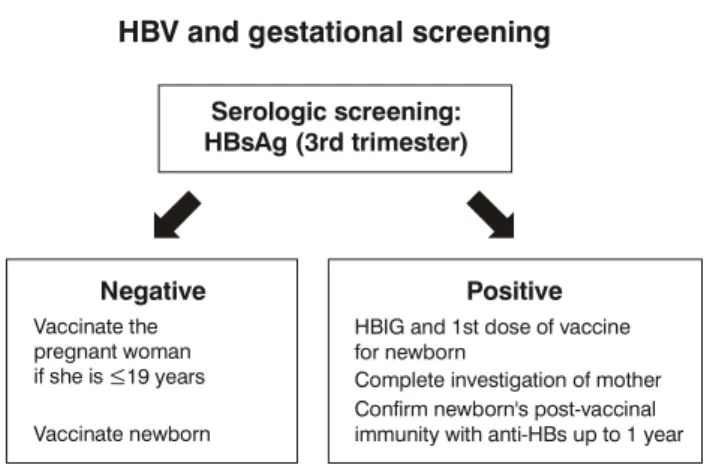 Figure 2 - Hepatitis B triage in pregnant women
