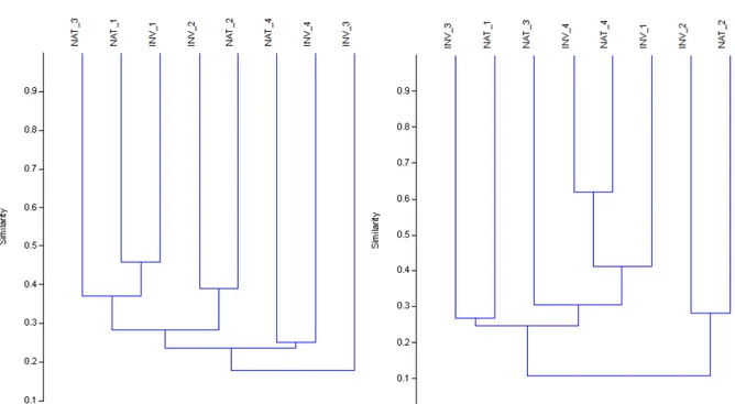 Figura 11: Análises de agrupamentos com medida de similaridade de Simpson (esquerda - coeficiente de  correlação cofenética=0,84) e de Morisita (direita – coeficiente de correlação cofenética=0,91)
