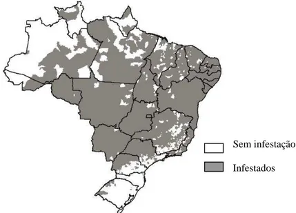 Fig 1. Distribuição do Aedes aegypti no Brasil (BRAGA &amp; VALLE, 2007a). 