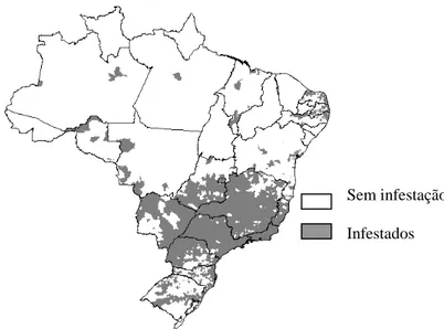 Fig 2. Distribuição do Aedes albopictus no Brasil (LA CORTE, 2003). 
