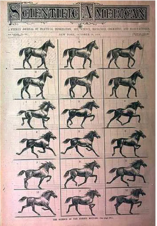 Figura 8: The Science of the Horse Motion 23
