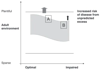 Figure 1 - Relationship between developmental and adulthood environ- ments. The horizontal lines represent the limits of the  environ-ment to which the individual is exposed; the grayed area represents the zone of appropriate predictive adaptive responses,