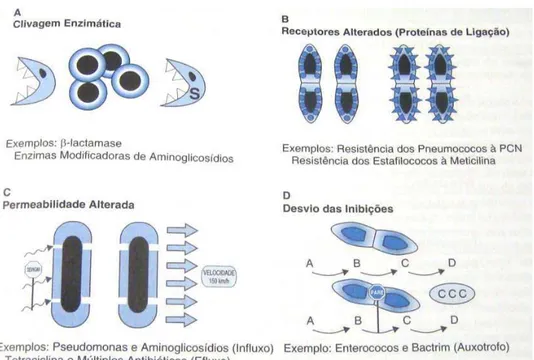FIGURA 5 - Mecanismos de resistência bacteriana aos antimicrobianos                     Fonte: WINN JR et al., 2008, p