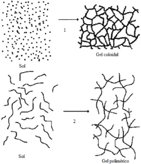 Figura 3.4: Desenho descritivo do processo sol gel para obtenção do      gel coloidal e  do      gel polimérico     ) 