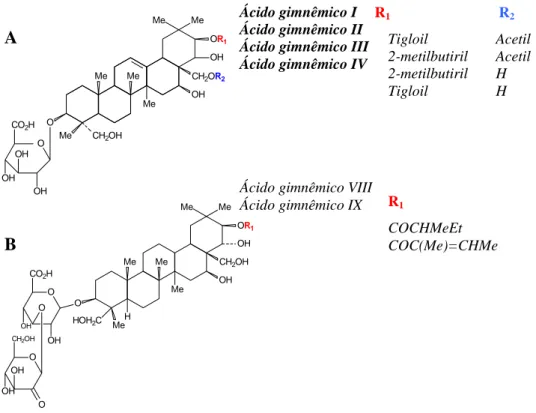 Figura 1 – Estrutura dos ácidos gimnêmicos: A) ácidos gimnêmicos I- I-IV (mais importantes e com maior atividade); B) ácidos gimnêmicos VIII  e IX
