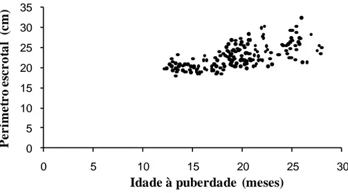 Figura 2. Perímetro escrotal em relação à idade a puberdade em 191 machos da raça Guzerá