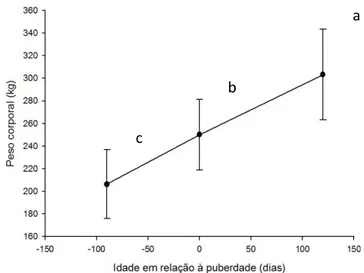 Figura 6. Peso corporal no período peripuberal em machos da raça Guzerá. Médias de peso corporal se- se-guidas de letras maiúsculas distintas diferem pelo teste t-Student (p&lt;0,0001) 