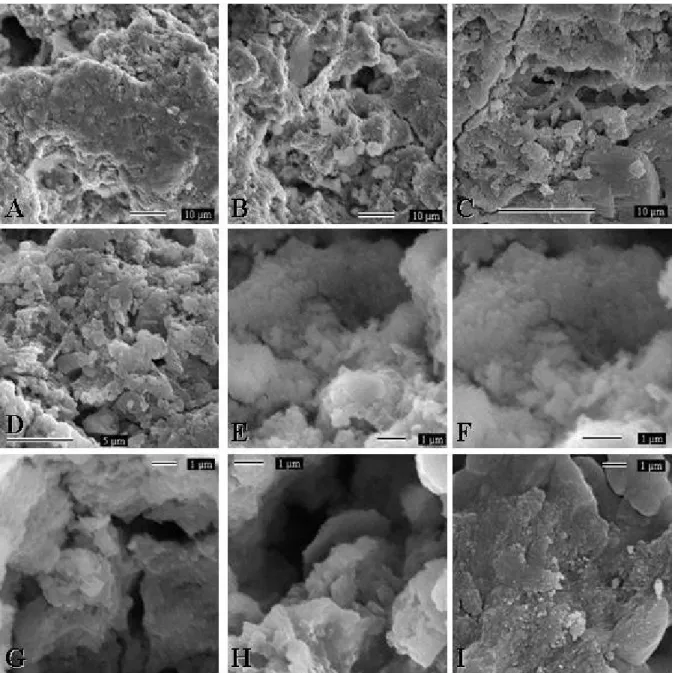 Figura 48 – Micrografias de MEV da amostra PCI-08. Pedra do Cantagalo I, Piripiri, Piauí