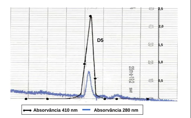 Figura 7 – Cromatografia de filtração em gel da rK1 em coluna de Superose 12 HR  10/30 em equipamento FPLC 