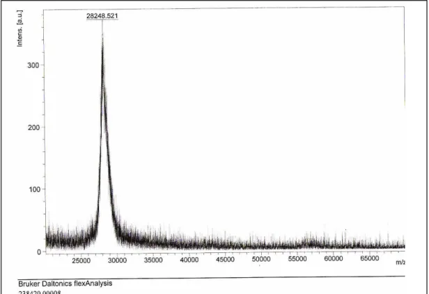 Figura X –  Espectrometria de massa da rK1 reduzida e alquilada