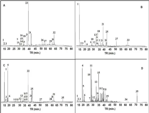 FIGURA  1  -  Cromatograma  de  íons  totais  dos  extratos  da  A.  brasiliana  obtidos  por  Extração  sólido-líquida  utilizando-se  ultrassom