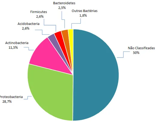 Figura  9  -  Distribuição  filogenética  das  OTUs  da  biblioteca  do  gene  de  rRNA  16S  de    bactéria  endofítica  da  raiz  de  B