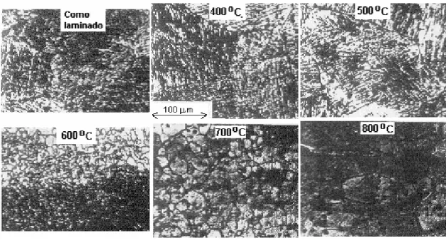 Figura 3.12 - Micrografias óticas mostrando recristalização de liga Ti-50,2%at Ni recozida 