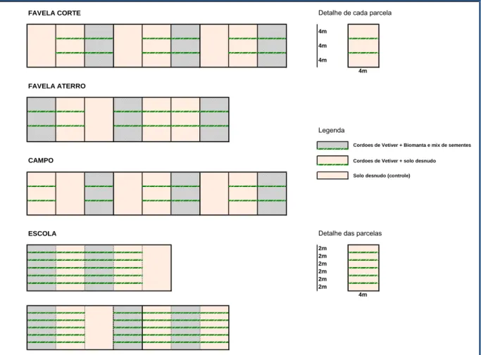 Figura 4.2 –  Esquema geral das parcelas implantadas em campo e alguns de seus detalhes