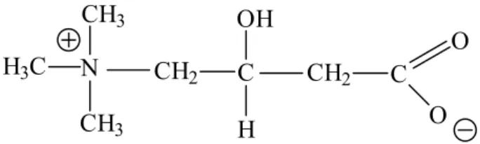 Figura 1. Estrutura química da molécula de carnitina. 