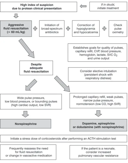 Figure 1 - Septic shock: simplified initial management