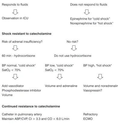 Figure 1 - Algorithm for the therapeutic management of septic shock
