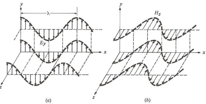 Figura 2.2: Representação da onda plana utilizada W x media = 1 2 (E y0 ) 2η , [W/m 2 ] (2.41)