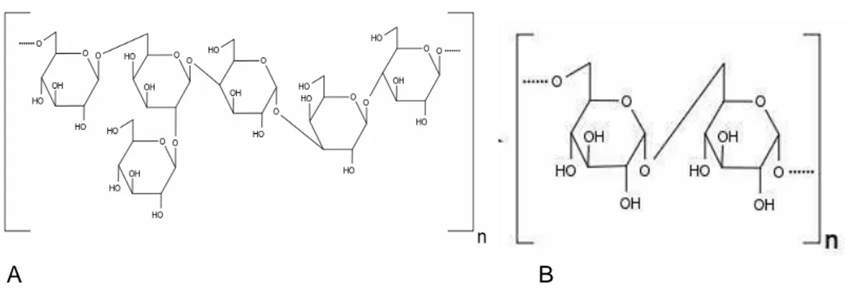 Figura 1. Estrutura molecular dos exopolissacarídeos Kefirano (A) e Dextrano (B).  