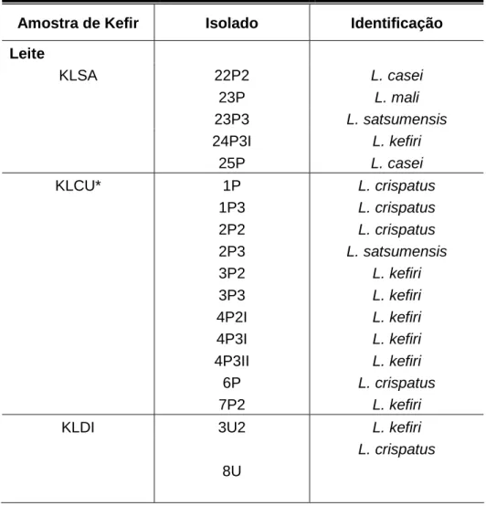 Tabela  3:  Identificação  dos  isolados  de  grão  de  Kefir,  a  partir  do  cultivo  em  meio  MRS 