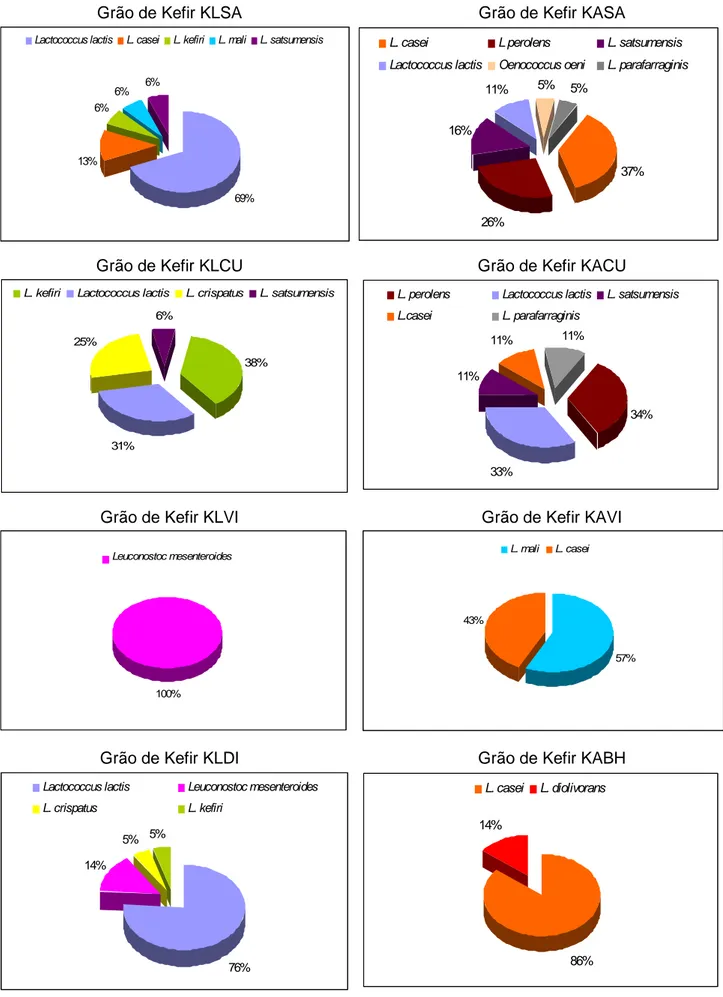 Figura  7.  Percentagem  de  isolados  de  BAL  de  amostras  de  grão  de  Kefir  cultivados  em  leite 