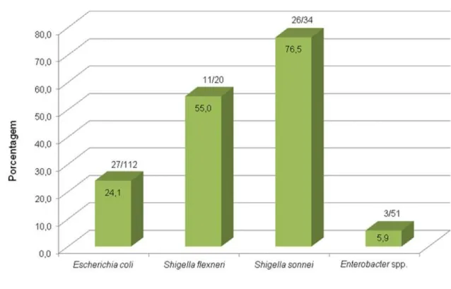 Gráfico 1.  Frequência  de  amostras  de  Escherichia  coli,  Shigella  flexneri,  Shigella 