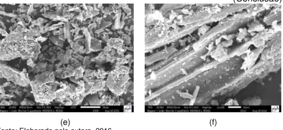 Figura 4  – Micrografias de biocarvão de lodo de esgoto + bagaço de  cana-de-açúcar  em  microscopia  eletrônica  de  varredura  com  diferentes  aumentos:  700  (a),  600  (b),  200  (c),  180  (d), 370 (e) e 1200 (f) vezes 