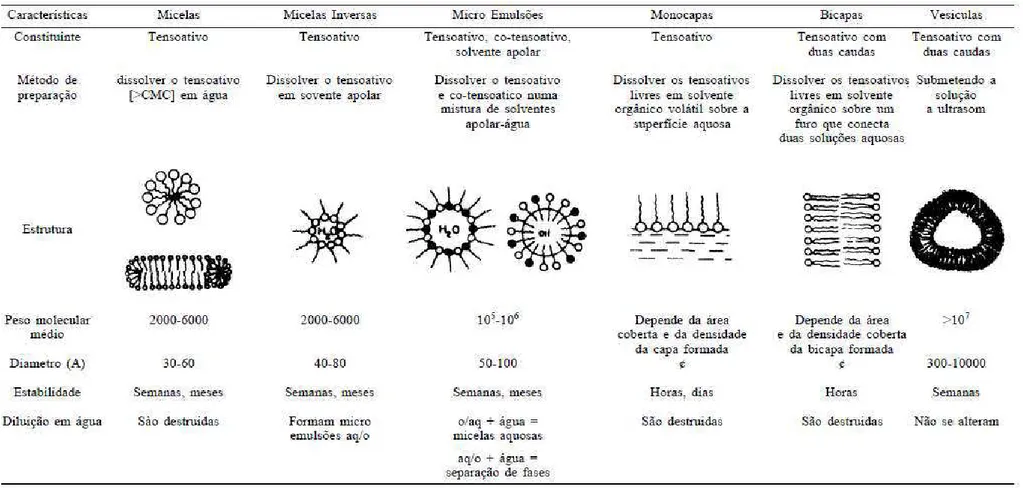 Tabela 3.I: Comparação das características de diferentes tipos de agregados formados com o surfatante (Maniasso, 2001)