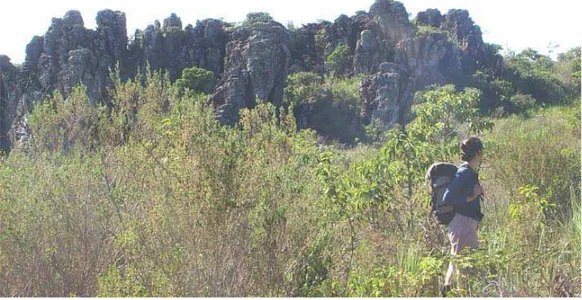 FIGURA 2.4 - Torres em rochas quartzíticas na região de Itambé do Mato Dentro  Fonte: Fabri (2011) 