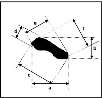 Figura 4.1. Diagrama esquemático da construção do diâmetro de Feret. 